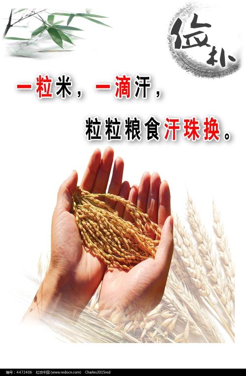 报初级会计没有高中毕业证可以报吗